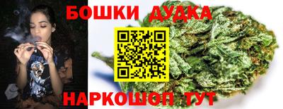 jwh Славгород