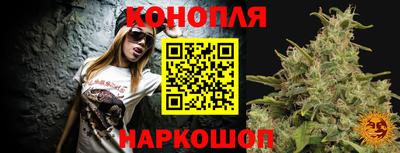 трава Сланцы