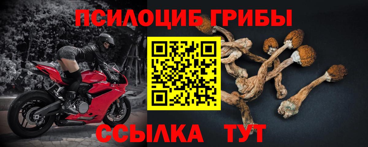 Псилоцибиновые грибы мухоморы  Вход с VPN  Среднеуральск 